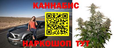 эйфоретик Будённовск