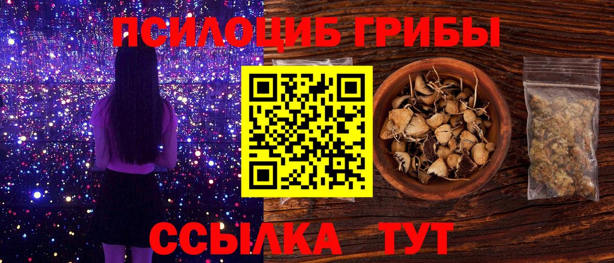 Галлюциногенные грибы Cubensis Усть-Лабинск